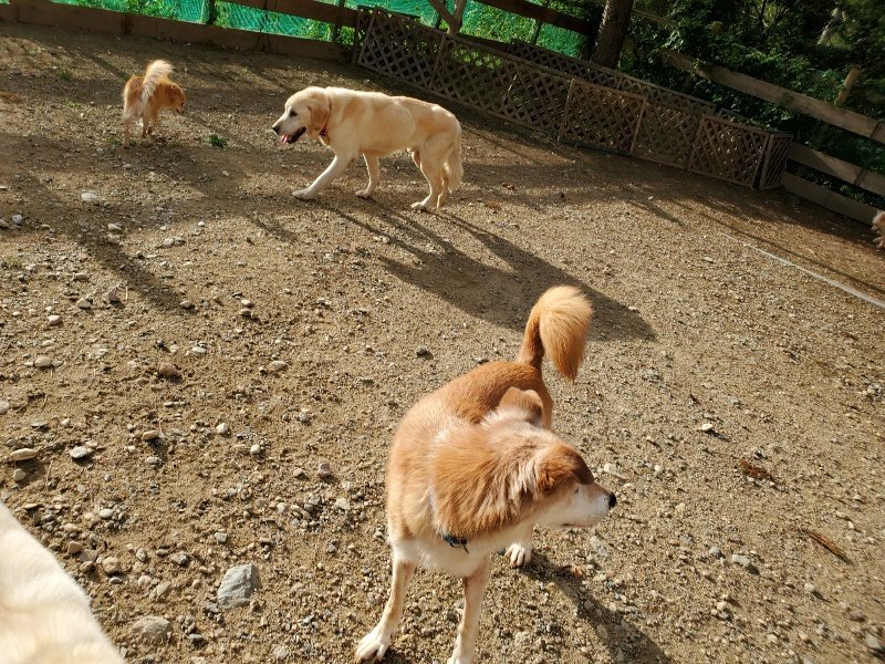 f:id:roukenhome-ann:20190923201847j:plain f:id:roukenhome-ann:20190923201847j:plain