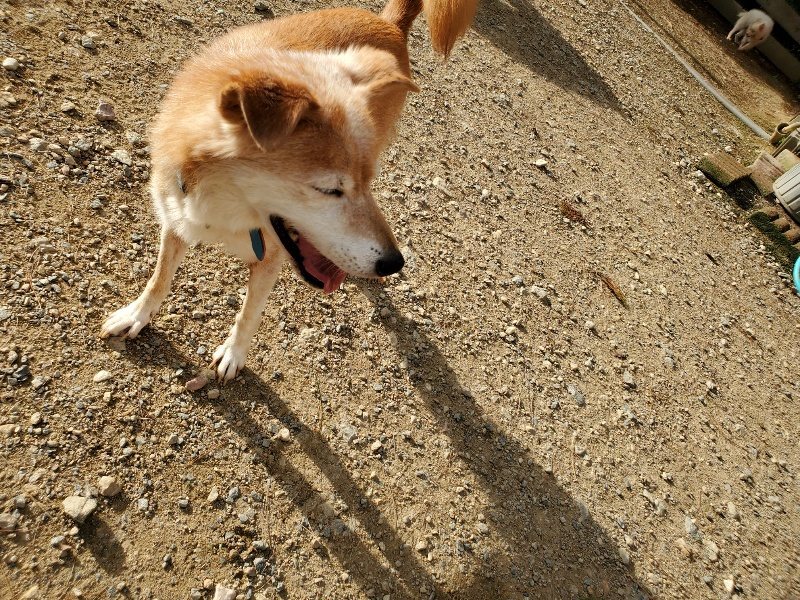 f:id:roukenhome-ann:20190923201858j:plain f:id:roukenhome-ann:20190923201858j:plain
