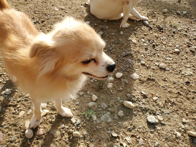 f:id:roukenhome-ann:20190923201955j:plain f:id:roukenhome-ann:20190923201955j:plain