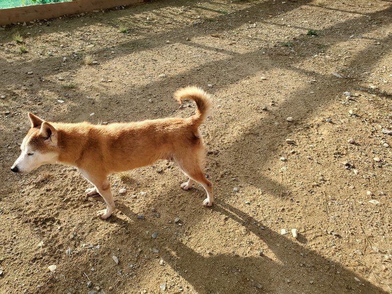 f:id:roukenhome-ann:20190923202331j:plain f:id:roukenhome-ann:20190923202331j:plain