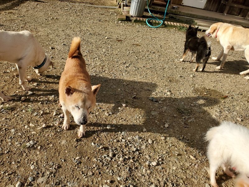 f:id:roukenhome-ann:20190923202354j:plain f:id:roukenhome-ann:20190923202354j:plain