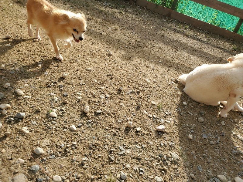 f:id:roukenhome-ann:20190923202415j:plain f:id:roukenhome-ann:20190923202415j:plain