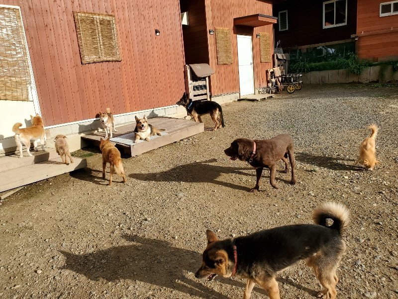 f:id:roukenhome-ann:20190923202456j:plain f:id:roukenhome-ann:20190923202456j:plain