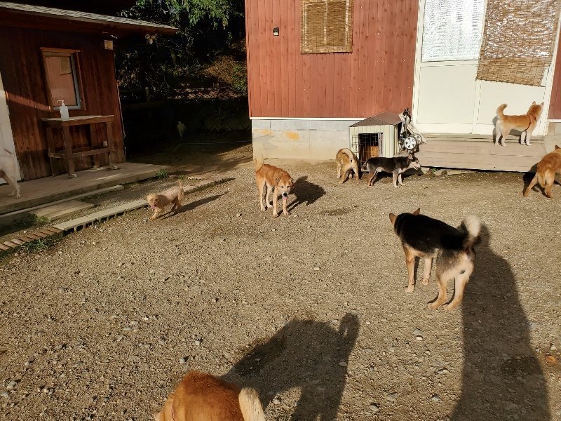 f:id:roukenhome-ann:20190923202538j:plain f:id:roukenhome-ann:20190923202538j:plain