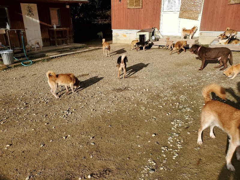 f:id:roukenhome-ann:20190923202604j:plain f:id:roukenhome-ann:20190923202604j:plain