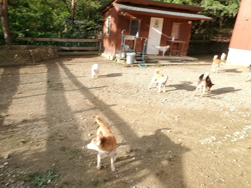 f:id:roukenhome-ann:20190923202919j:plain f:id:roukenhome-ann:20190923202919j:plain