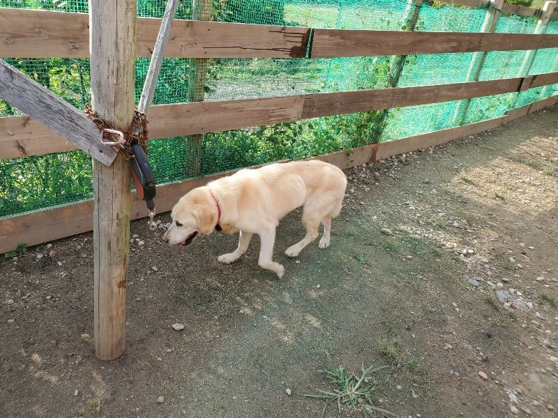 f:id:roukenhome-ann:20190923203017j:plain f:id:roukenhome-ann:20190923203017j:plain
