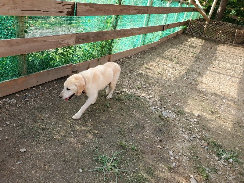 f:id:roukenhome-ann:20190923203311j:plain f:id:roukenhome-ann:20190923203311j:plain