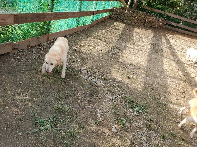 f:id:roukenhome-ann:20190923203443j:plain f:id:roukenhome-ann:20190923203443j:plain