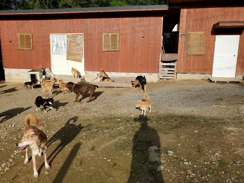 f:id:roukenhome-ann:20190923203546j:plain f:id:roukenhome-ann:20190923203546j:plain