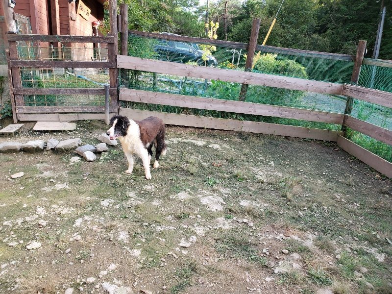 f:id:roukenhome-ann:20190923203619j:plain f:id:roukenhome-ann:20190923203619j:plain