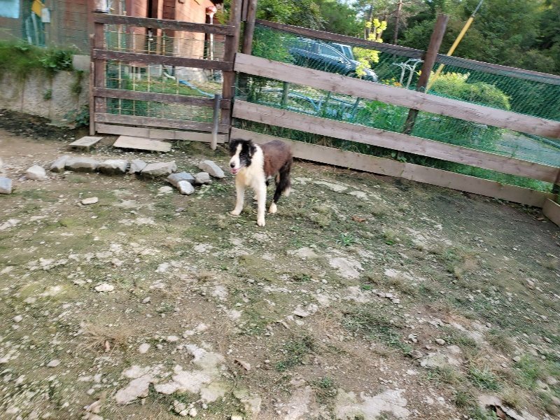 f:id:roukenhome-ann:20190923203734j:plain f:id:roukenhome-ann:20190923203734j:plain