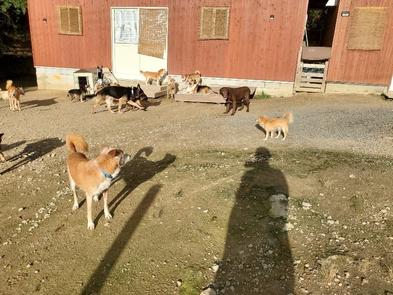 f:id:roukenhome-ann:20190923203814j:plain f:id:roukenhome-ann:20190923203814j:plain