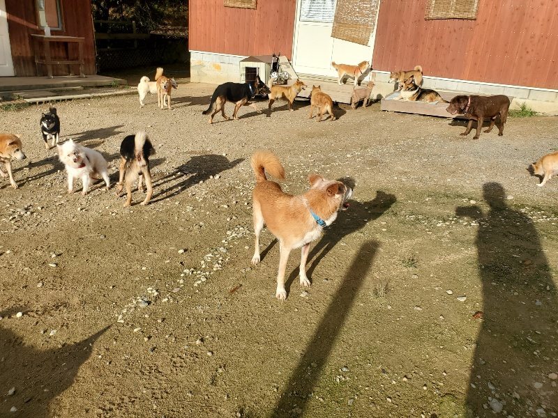 f:id:roukenhome-ann:20190923203849j:plain f:id:roukenhome-ann:20190923203849j:plain
