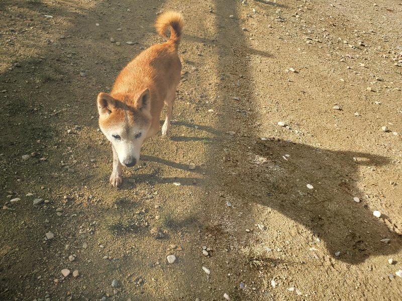 f:id:roukenhome-ann:20190923203930j:plain f:id:roukenhome-ann:20190923203930j:plain