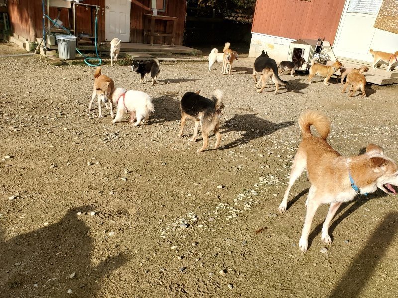 f:id:roukenhome-ann:20190923204001j:plain f:id:roukenhome-ann:20190923204001j:plain