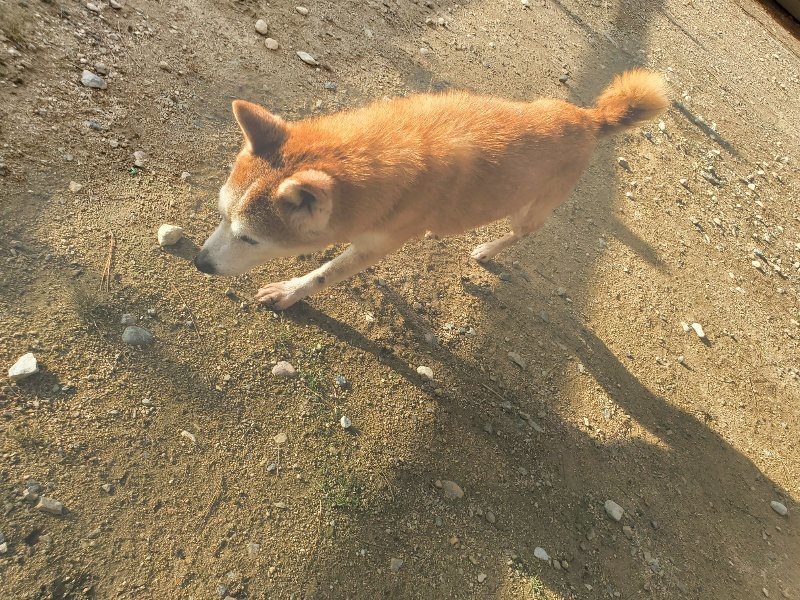 f:id:roukenhome-ann:20190923204413j:plain f:id:roukenhome-ann:20190923204413j:plain