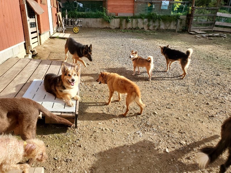 f:id:roukenhome-ann:20190924050048j:plain f:id:roukenhome-ann:20190924050048j:plain