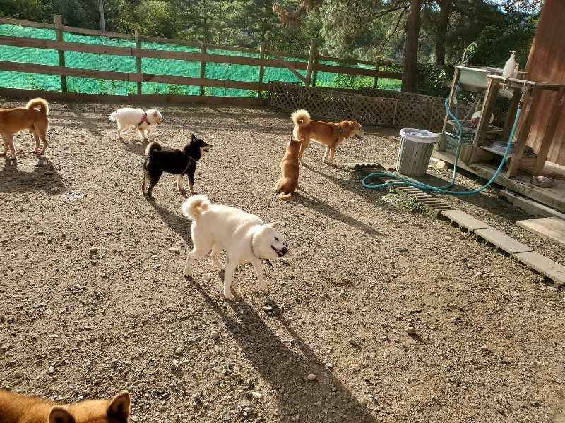 f:id:roukenhome-ann:20190924050100j:plain f:id:roukenhome-ann:20190924050100j:plain
