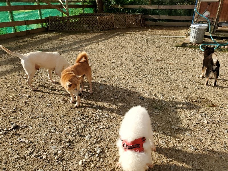 f:id:roukenhome-ann:20190924050106j:plain f:id:roukenhome-ann:20190924050106j:plain