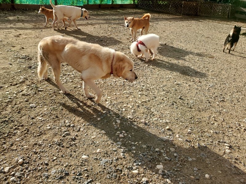 f:id:roukenhome-ann:20190924050118j:plain f:id:roukenhome-ann:20190924050118j:plain