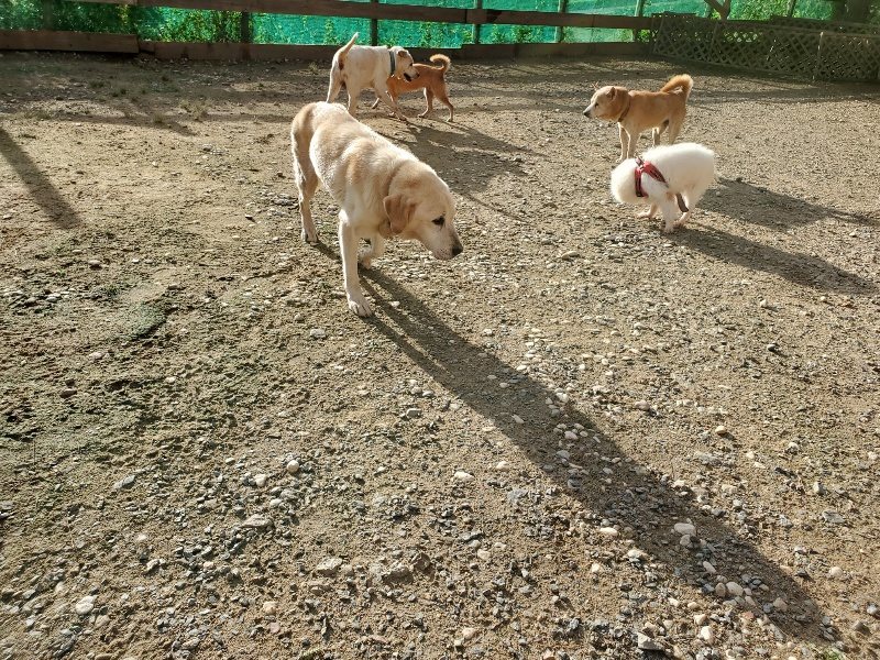 f:id:roukenhome-ann:20190924050123j:plain f:id:roukenhome-ann:20190924050123j:plain