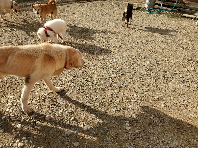 f:id:roukenhome-ann:20190924050130j:plain f:id:roukenhome-ann:20190924050130j:plain