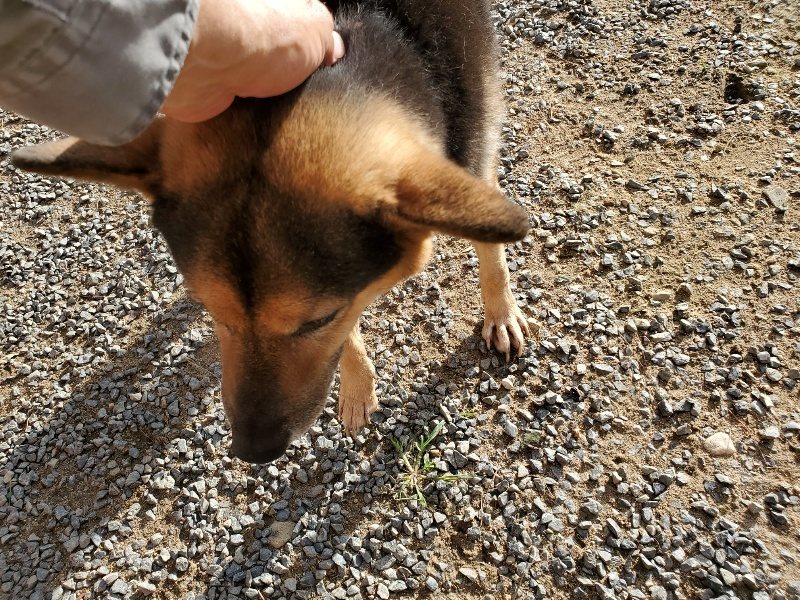 f:id:roukenhome-ann:20190924050136j:plain f:id:roukenhome-ann:20190924050136j:plain