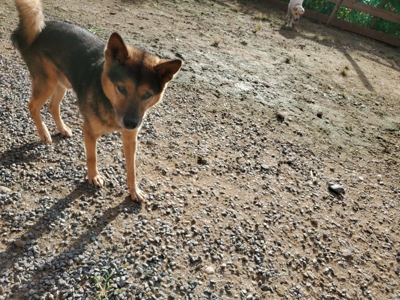 f:id:roukenhome-ann:20190924050214j:plain f:id:roukenhome-ann:20190924050214j:plain