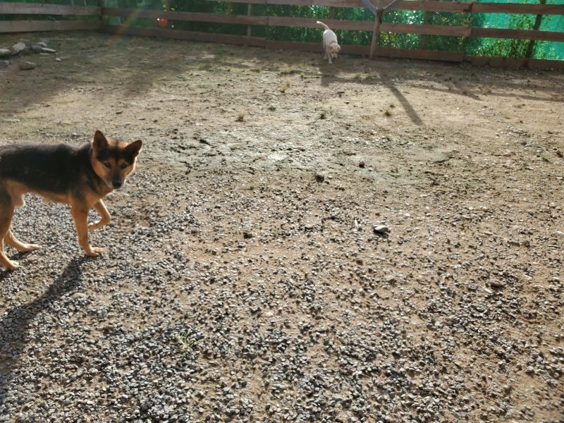 f:id:roukenhome-ann:20190924050252j:plain f:id:roukenhome-ann:20190924050252j:plain