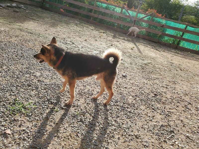 f:id:roukenhome-ann:20190924050441j:plain f:id:roukenhome-ann:20190924050441j:plain