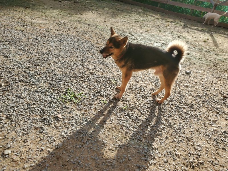f:id:roukenhome-ann:20190924050533j:plain f:id:roukenhome-ann:20190924050533j:plain