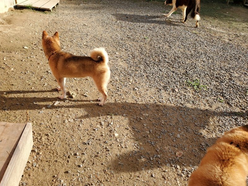 f:id:roukenhome-ann:20190924050625j:plain f:id:roukenhome-ann:20190924050625j:plain