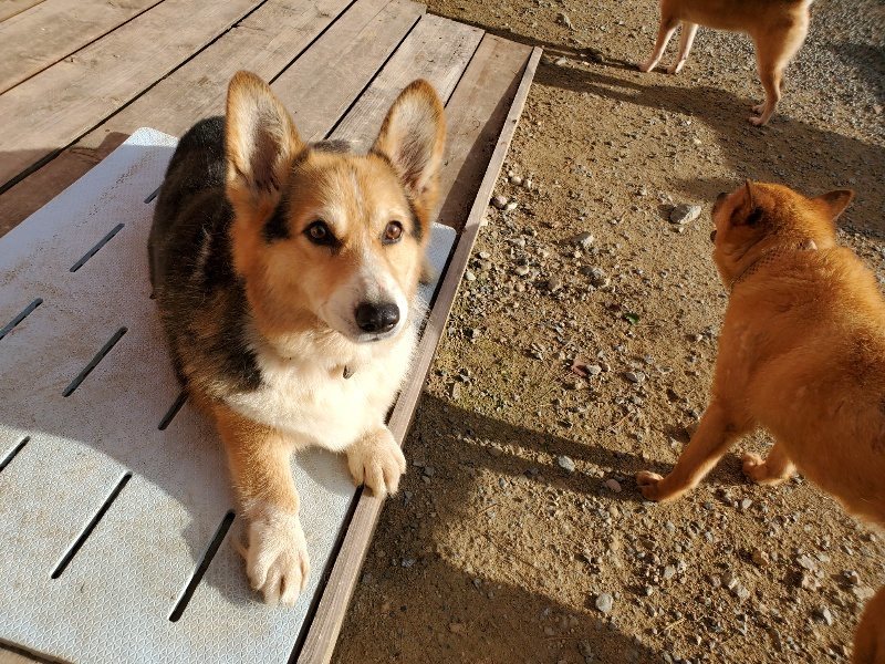 f:id:roukenhome-ann:20190924050646j:plain f:id:roukenhome-ann:20190924050646j:plain