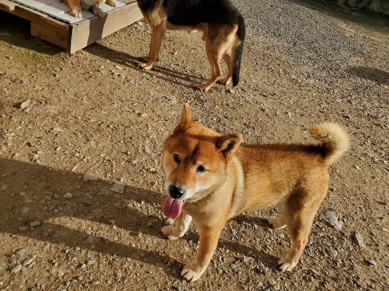 f:id:roukenhome-ann:20190924050934j:plain f:id:roukenhome-ann:20190924050934j:plain