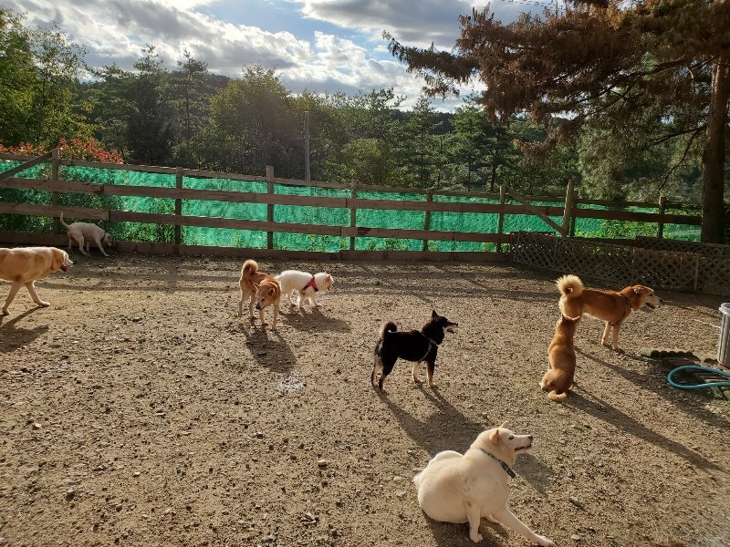 f:id:roukenhome-ann:20190924050944j:plain f:id:roukenhome-ann:20190924050944j:plain