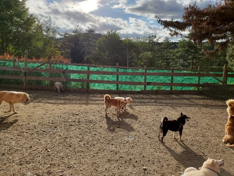 f:id:roukenhome-ann:20190924051001j:plain f:id:roukenhome-ann:20190924051001j:plain