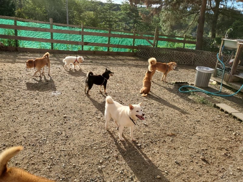 f:id:roukenhome-ann:20190924051020j:plain f:id:roukenhome-ann:20190924051020j:plain