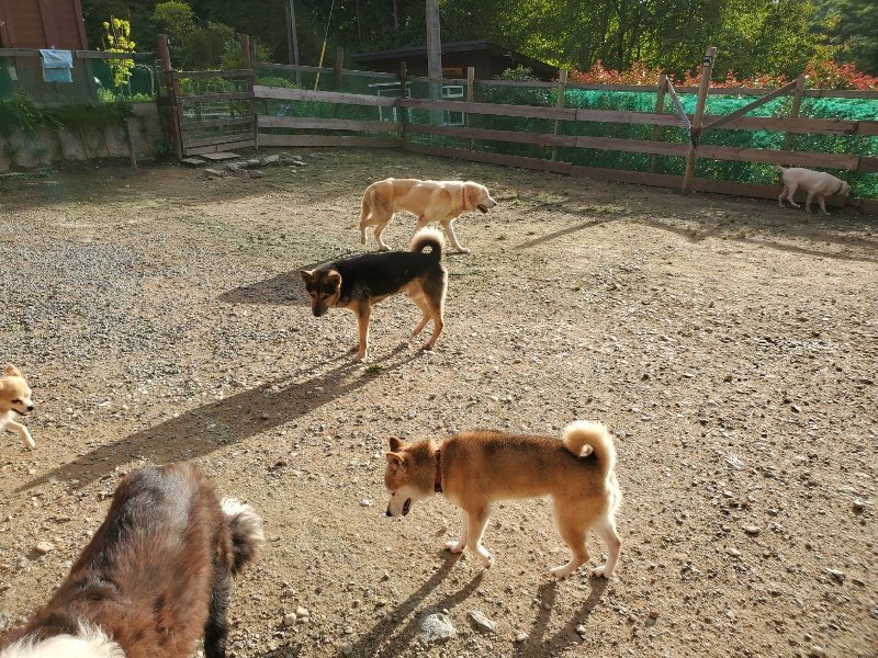 f:id:roukenhome-ann:20190924051056j:plain f:id:roukenhome-ann:20190924051056j:plain