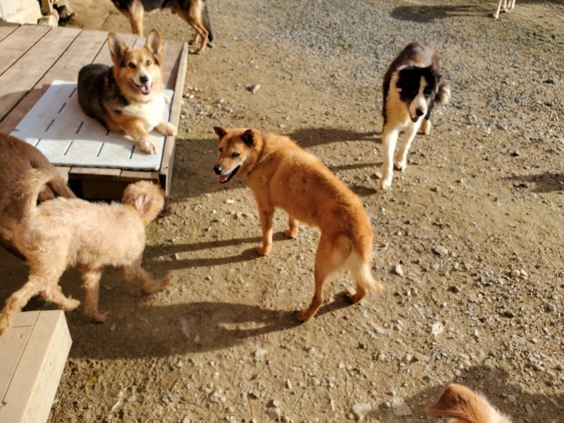 f:id:roukenhome-ann:20190924051127j:plain f:id:roukenhome-ann:20190924051127j:plain