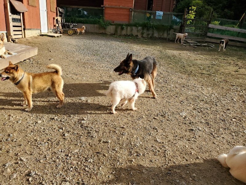 f:id:roukenhome-ann:20190924051441j:plain f:id:roukenhome-ann:20190924051441j:plain