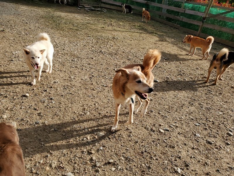 f:id:roukenhome-ann:20190924051546j:plain f:id:roukenhome-ann:20190924051546j:plain