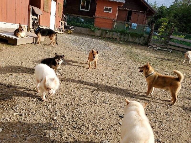 f:id:roukenhome-ann:20190924052224j:plain f:id:roukenhome-ann:20190924052224j:plain