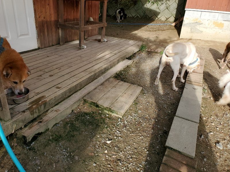 f:id:roukenhome-ann:20190924070617j:plain f:id:roukenhome-ann:20190924070617j:plain