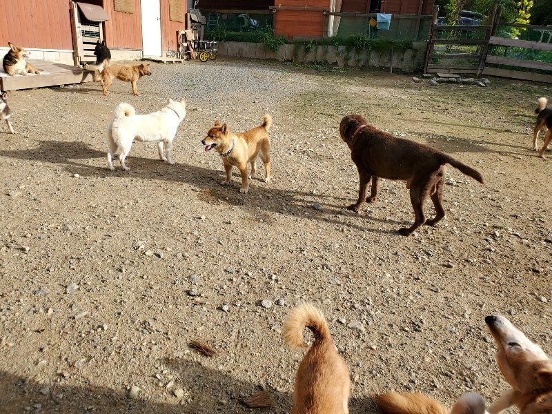 f:id:roukenhome-ann:20190924070946j:plain f:id:roukenhome-ann:20190924070946j:plain