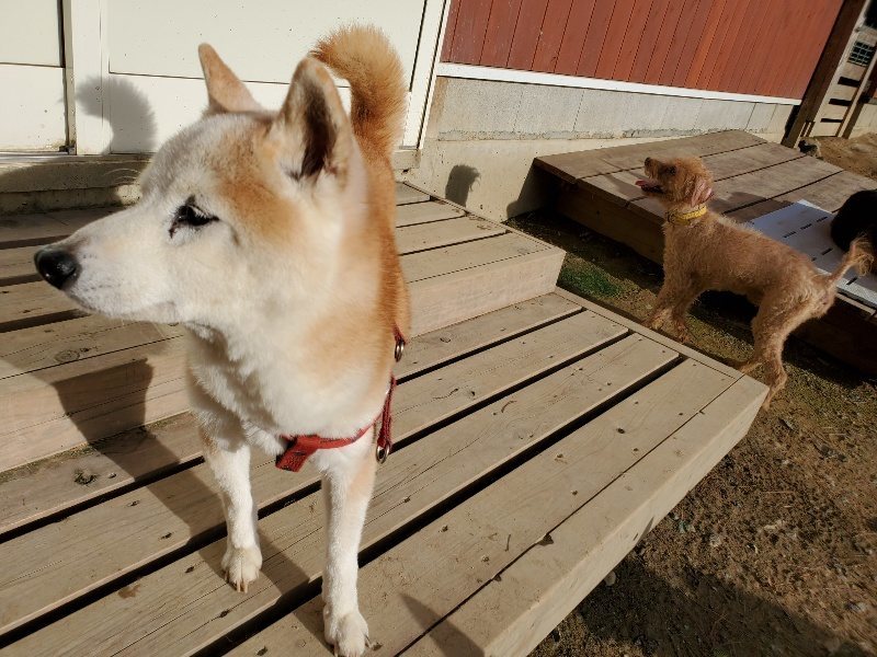 f:id:roukenhome-ann:20190924071047j:plain f:id:roukenhome-ann:20190924071047j:plain