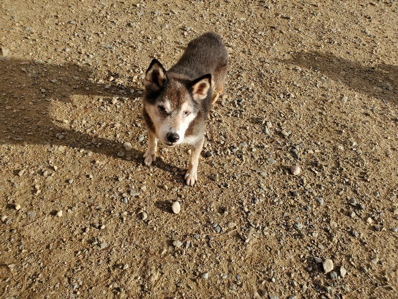 f:id:roukenhome-ann:20190924071652j:plain f:id:roukenhome-ann:20190924071652j:plain