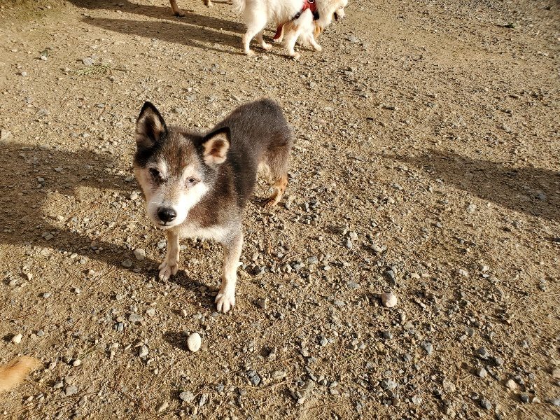 f:id:roukenhome-ann:20190924071924j:plain f:id:roukenhome-ann:20190924071924j:plain