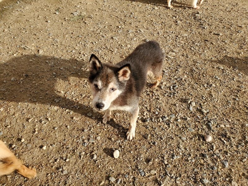 f:id:roukenhome-ann:20190924072049j:plain f:id:roukenhome-ann:20190924072049j:plain