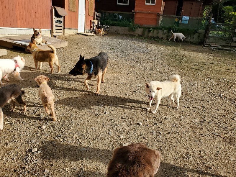 f:id:roukenhome-ann:20190924072430j:plain f:id:roukenhome-ann:20190924072430j:plain